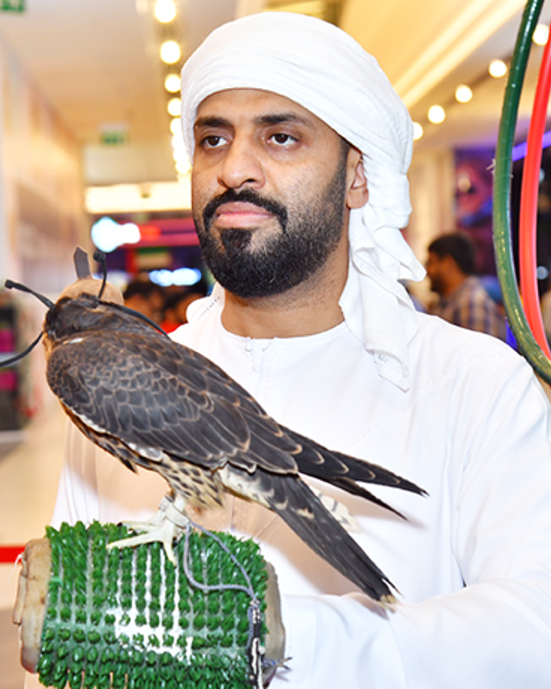 UAE National Day 2019